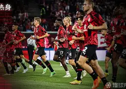 本菲卡vs国际米兰伤病